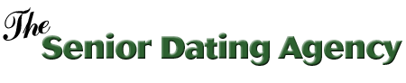 seniordatingagency-holland.com